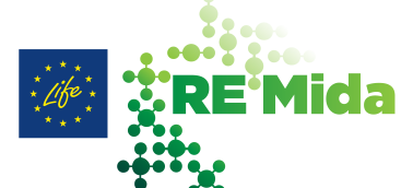 LifeReMida_Logo